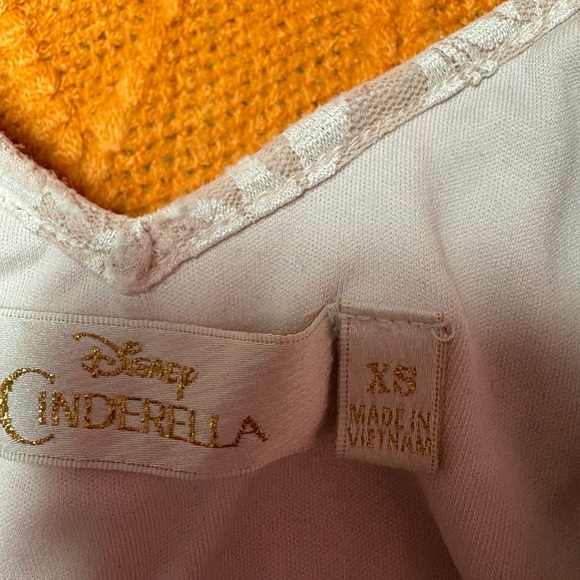 Disney Cinderella Pink Fit and Flare Mini Dress with Flutter Sleeves - Picture 3 of 4